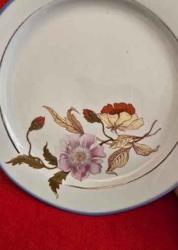 Burg Lindau Antika Alman Porselen Tabaklar - Görsel 3