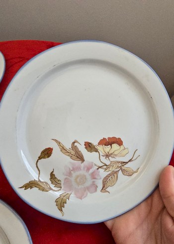 Burg Lindau Antika Alman Porselen Tabaklar - Görsel 8