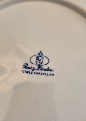 Burg Lindau Antika Alman Porselen Tabaklar - Görsel 6