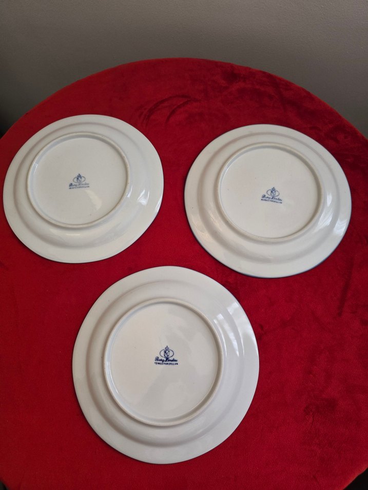 Burg Lindau Antika Alman Porselen Tabaklar - Görsel 2