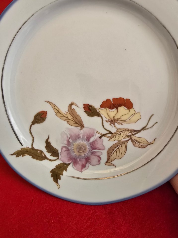 Burg Lindau Antika Alman Porselen Tabaklar - Görsel 3