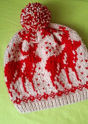 Renkli Örgü Kadın Bere - Görsel 3