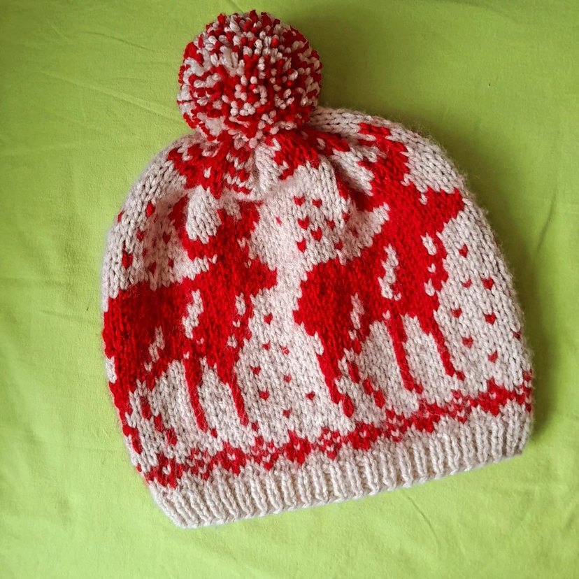 Renkli Örgü Kadın Bere - Görsel 3