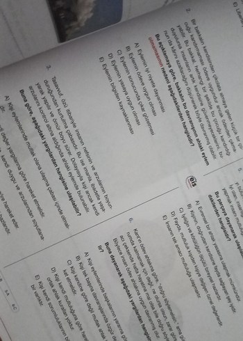 Beden Renk Üniversite Hazırlık Felsefe Ders Anlatım Föyü