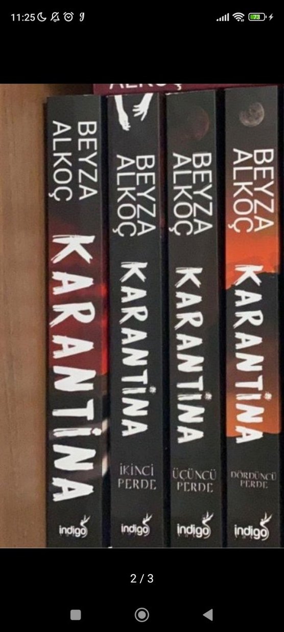 Karantina kitap serisi - Görsel 2