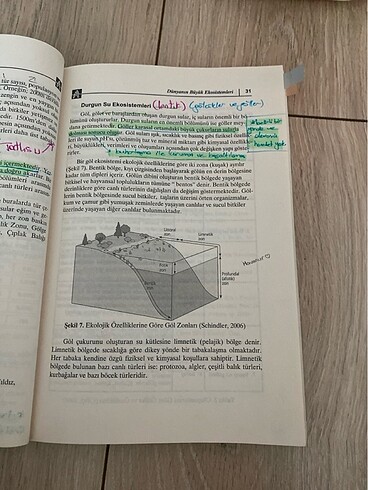 çevre eğitimi pegem akademi yayıncılık - Görsel 5