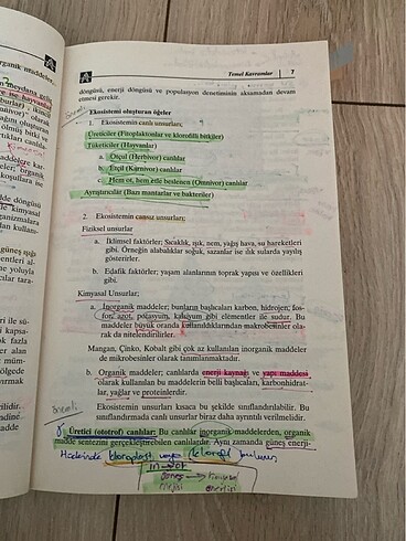 çevre eğitimi pegem akademi yayıncılık - Görsel 4