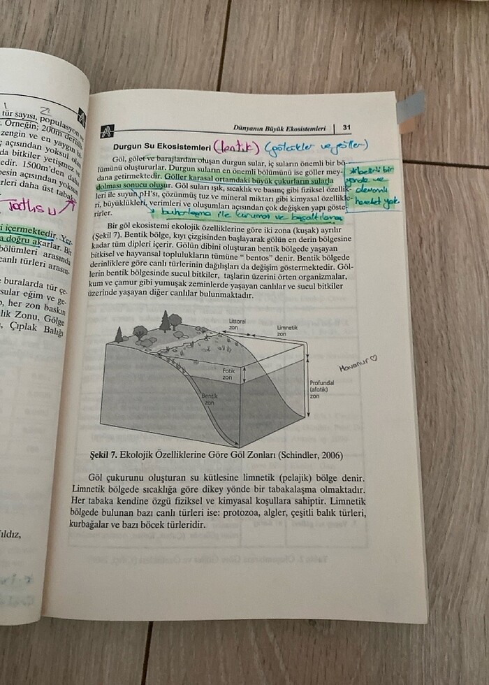 çevre eğitimi pegem akademi yayıncılık - Görsel 5