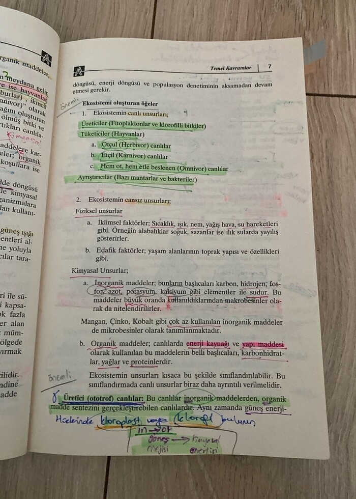 çevre eğitimi pegem akademi yayıncılık - Görsel 4