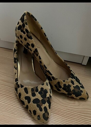 Leopar sitiletto