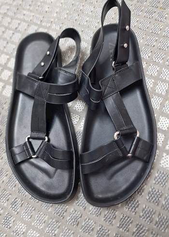 zara 41