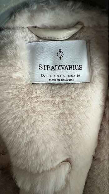Stradivarius Stradivarius