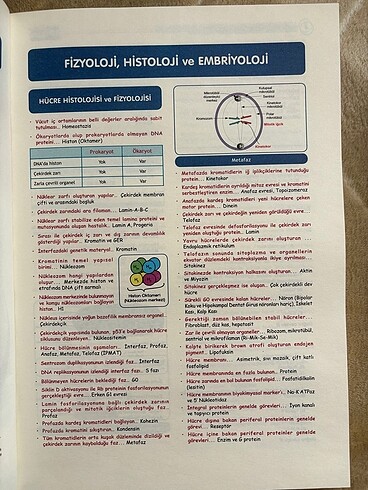 Beden TUSDATA HIZLI TEKRAR TUS FİZYOLOJİ