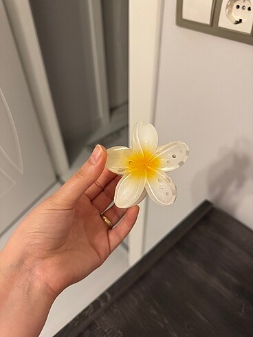 Lotus toka ???? - Görsel 2