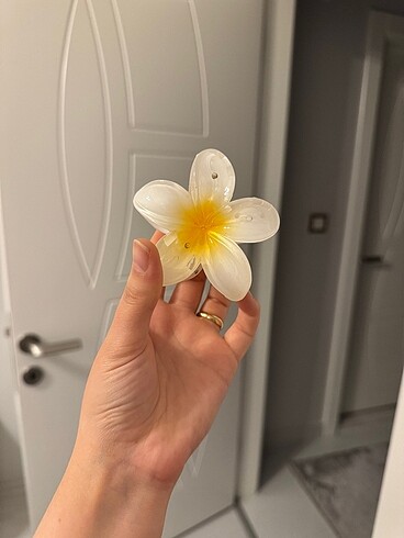 Lotus toka ???? - Görsel 4