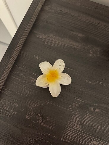 Lotus toka ???? - Görsel 3