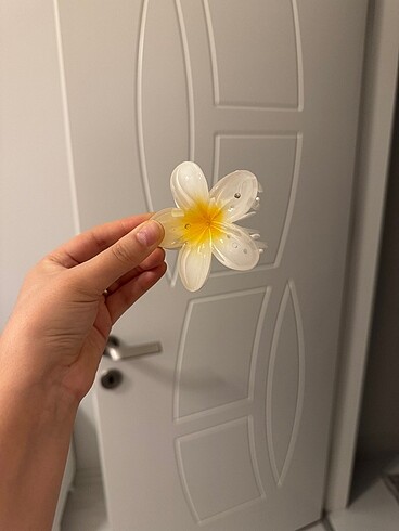 Lotus toka ???? - Görsel 8