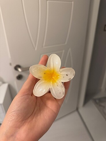 Lotus toka ???? - Görsel 9