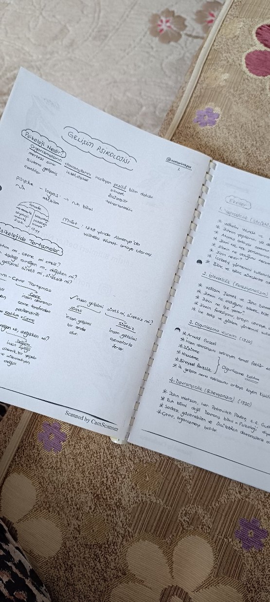 Eğitim Bilimleri Defter Notları - Görsel 2