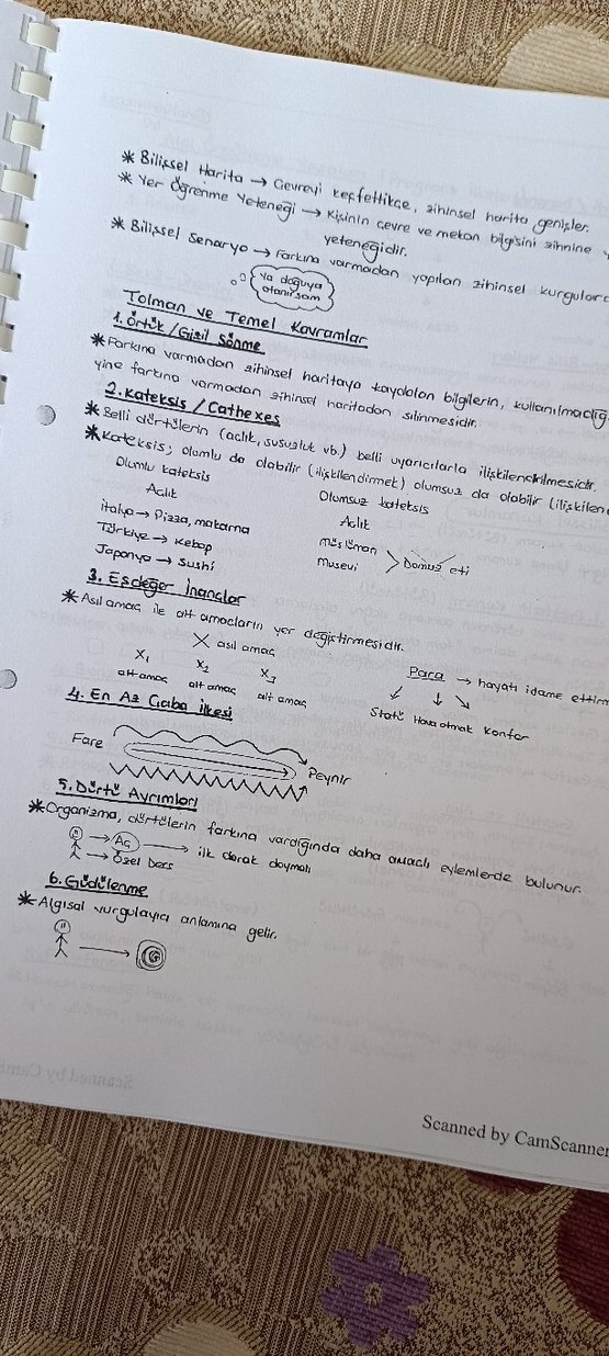 Eğitim Bilimleri Defter Notları - Görsel 3