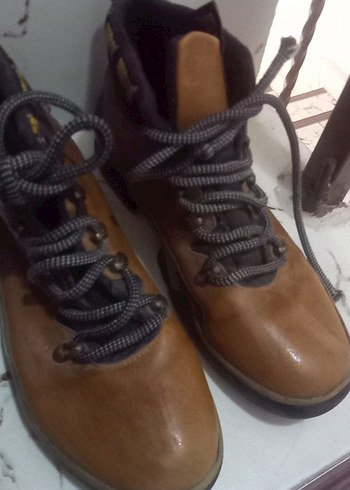 Kahverengi Erkek Bağcık - Görsel 2