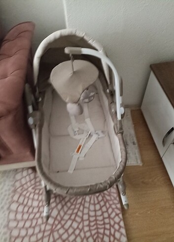  Beden ten rengi Renk Ana kucagi ve beşik