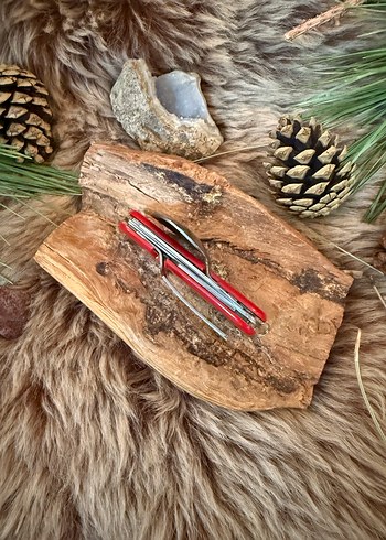 Kamp piknik çatal kaşık - Görsel 6