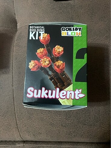  Sukulent lego