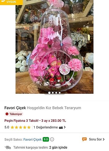Beden Teraryum