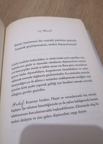 Güçlü Kal - Demi Lovato kitap - Görsel 3