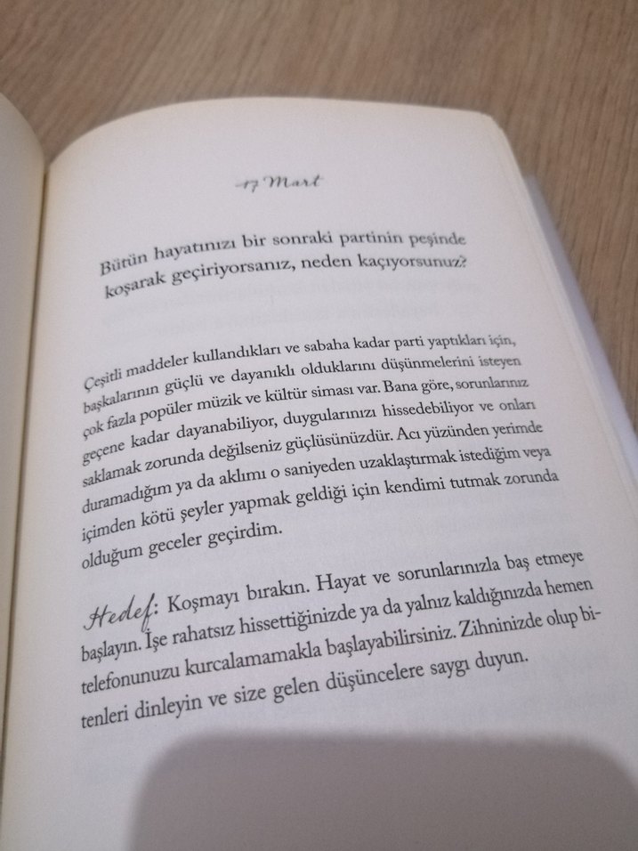 Güçlü Kal - Demi Lovato kitap - Görsel 3