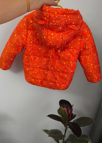 Çocuk Kapüşonlu Mont - Görsel 2