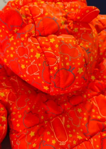 Çocuk Kapüşonlu Mont - Görsel 11