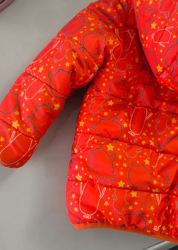 Çocuk Kapüşonlu Mont - Görsel 10