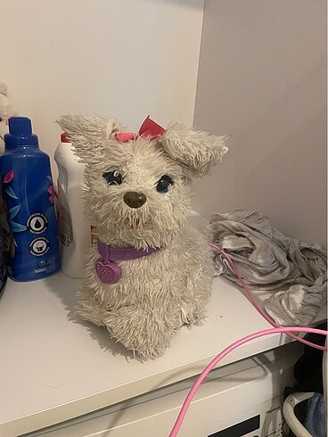 tasmalı köpek oyuncak