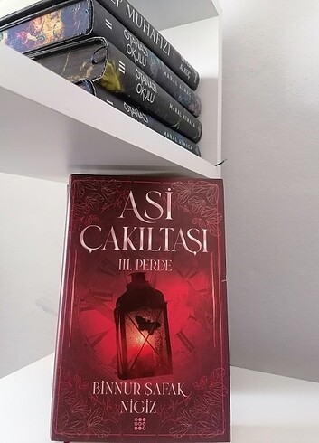 ASİ ÇAKILTAŞI SERİSİ 6 KİTAP