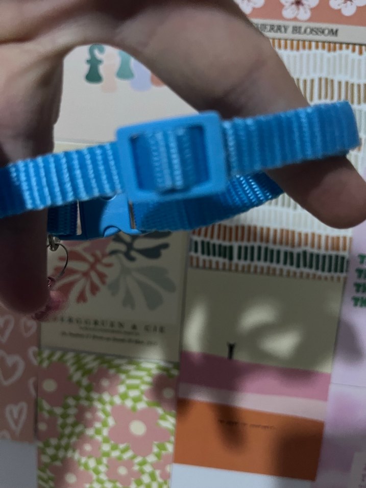 Renkli Kurdeleli Kedi Boyun Tasması - Görsel 2