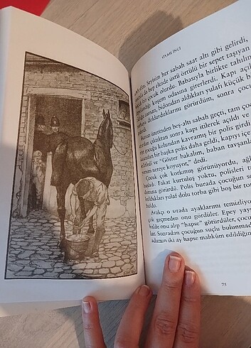  Beden Renk Kitap.