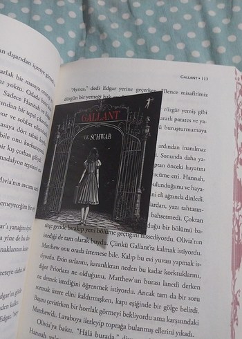 Beden V.E. Schwab - Gallant Roman