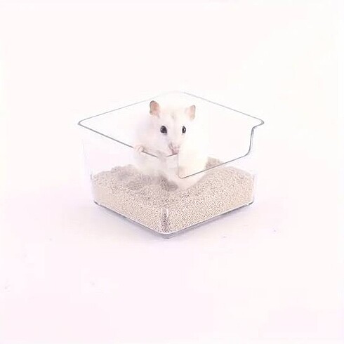 Hamster banyo kumu ve banyosu