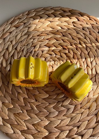 Beden Waikiki home tuzluk
