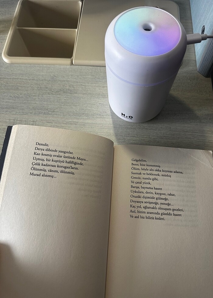 Hasretinden prangalar eskittim kitabı - Görsel 4