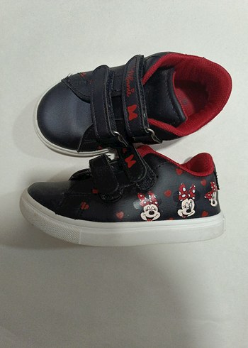 Walt Disney World 24