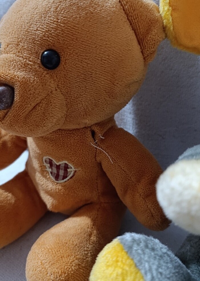 Oyuncak ayı - Görsel 4