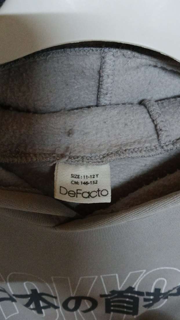 Gri Kapüşonlu Kadın Sweatshirt Tokyo Baskılı - Görsel 2