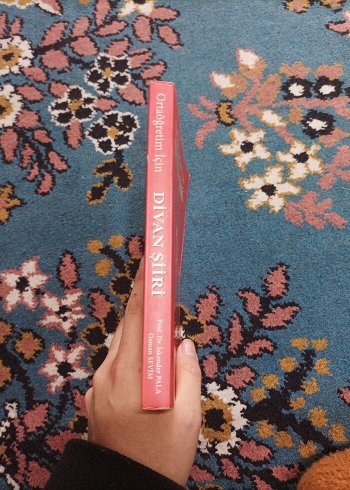 divan şiiri - Görsel 2