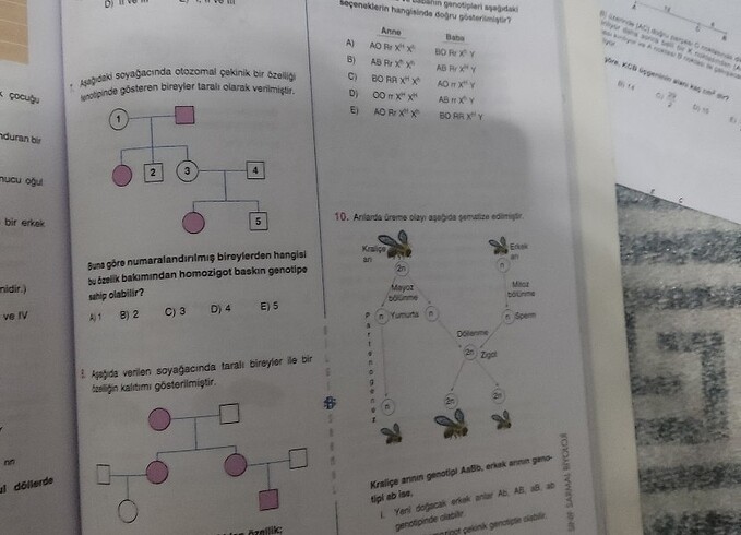 Beden Bilgi sarmal yayınları 10. Sınıf biyoloji konu özetli soru banka