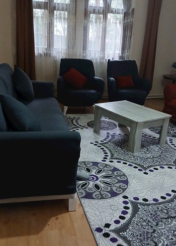 Diğer 3+3 1+1 koltuk örtüsü takımı