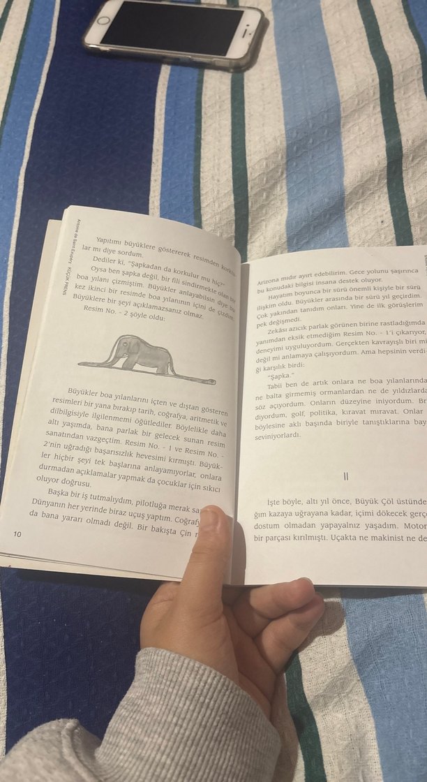 Küçük Prens - Antoine de Saint-Exupéry - Görsel 5