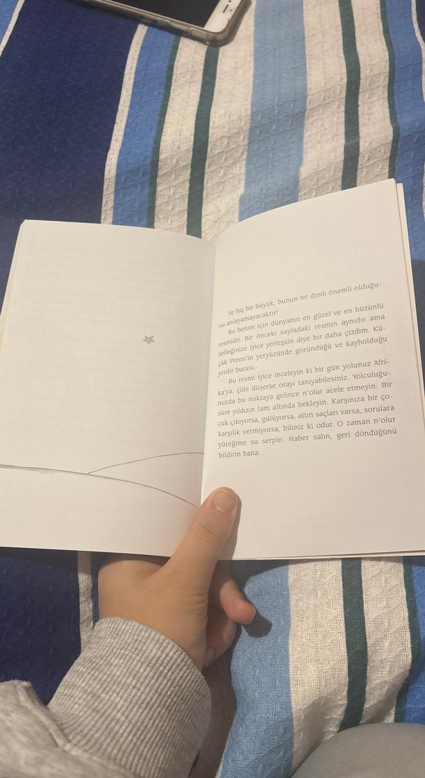 Küçük Prens - Antoine de Saint-Exupéry - Görsel 4